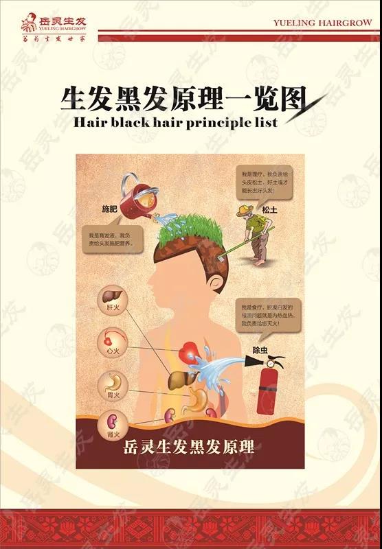 岳靈生發黑發原理一覽圖