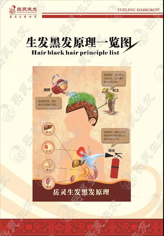 生發黑發原理一覽圖
