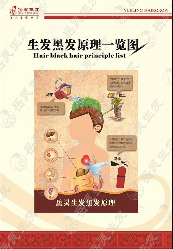 岳靈生發黑發原理圖