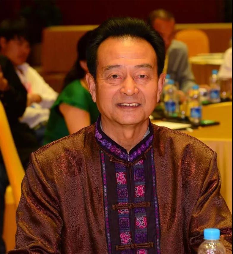 苗醫傳承為載體的“岳靈生發”