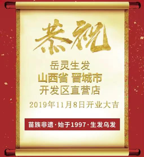 海歸碩士岳靈創業記